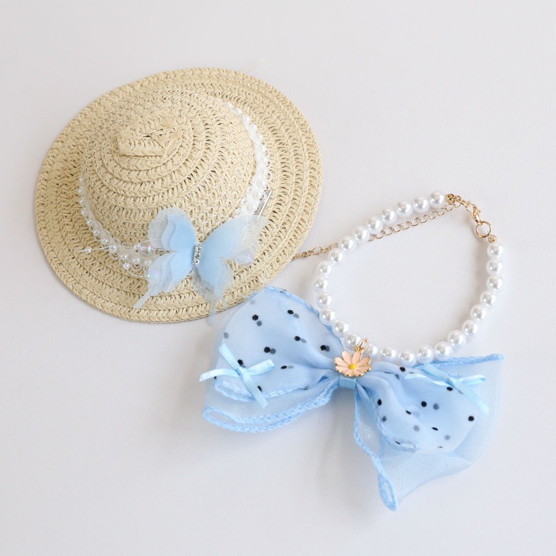 Schattig zomerse honden- en ka - Bucket Hat Straw recensie en prijs